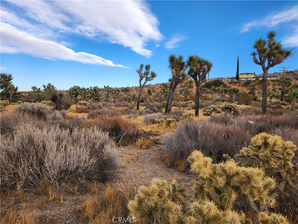 Image 2 of property listing at 164 LOT Joshua Lane, Yucca Valley, CA 92284