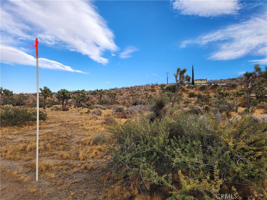 Image 3 of property listing at 164 LOT Joshua Lane, Yucca Valley, CA 92284
