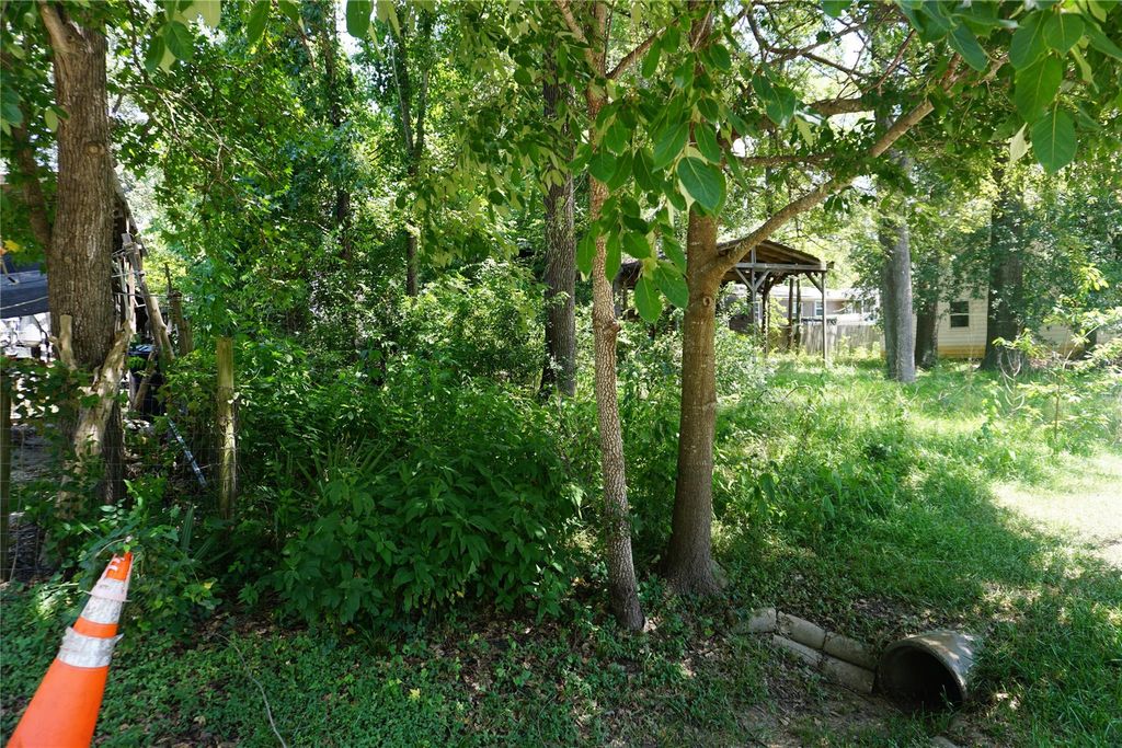 11397 Underwood Street, Willis, TX 77318