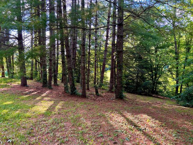 1858 Indian Creek Road, Hillsboro, KY 41049