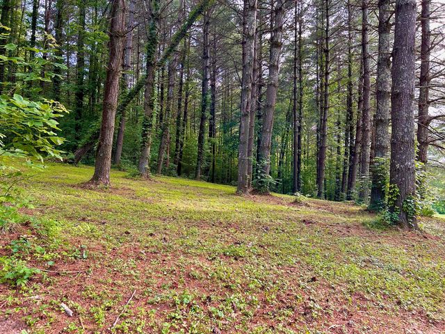 1858 Indian Creek Road, Hillsboro, KY 41049