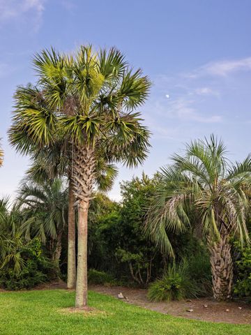 19 Grand Pavilion Boulevard, Isle Of Palms, SC 29451