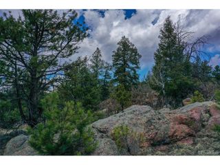 487 Pike View Ln, Florissant, CO 80816