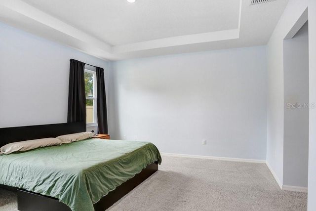 16619 GOOSE RIBBON PLACE, Wimauma, FL 33598