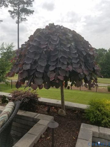 17807 Silverthread Ter, Moseley, VA 23120