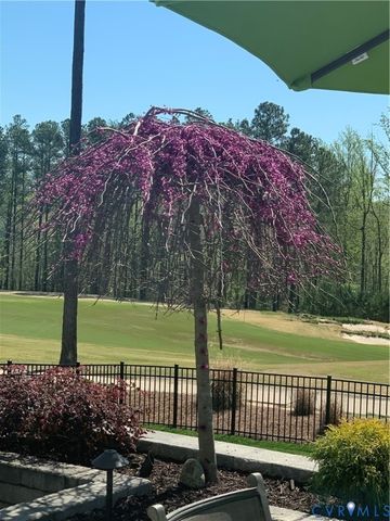 17807 Silverthread Ter, Moseley, VA 23120