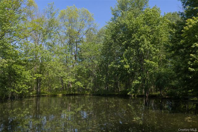 181 Twin Arch Road, Washingtonville, NY 10992