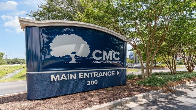 240 Red Buckeye Dr., Conway, SC 29527