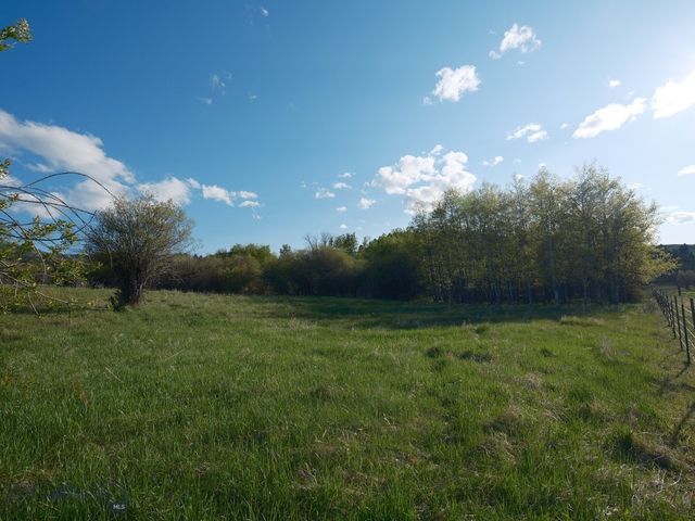 2178 Little Bear Road, Gallatin Gateway, MT 59730