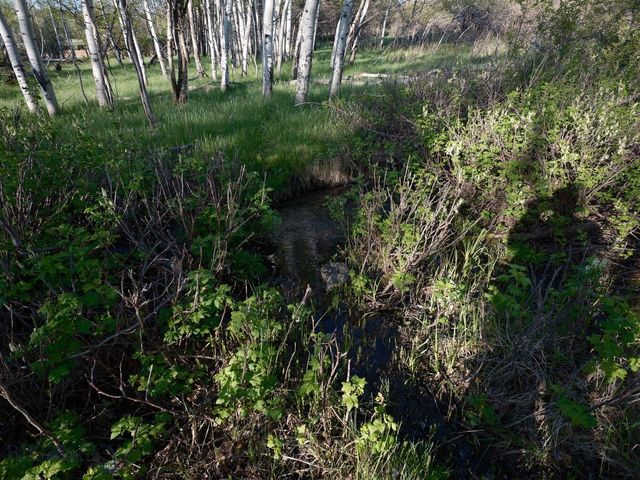 2178 Little Bear Road, Gallatin Gateway, MT 59730