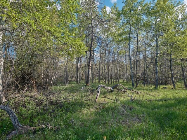 2178 Little Bear Road, Gallatin Gateway, MT 59730