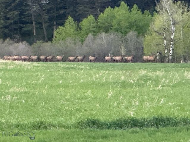 2178 Little Bear Road, Gallatin Gateway, MT 59730