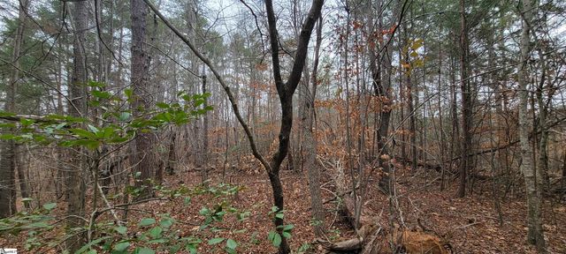 311 Sugarbush Court, Westminster, SC 29693