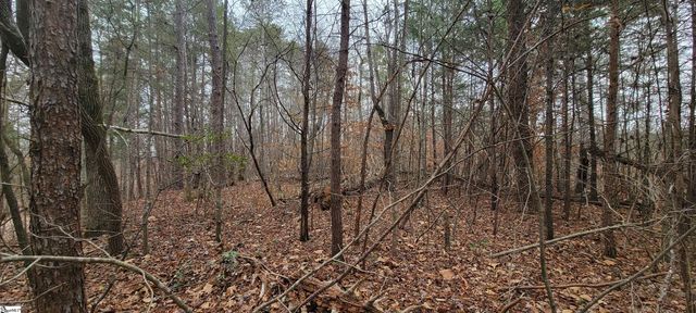 311 Sugarbush Court, Westminster, SC 29693