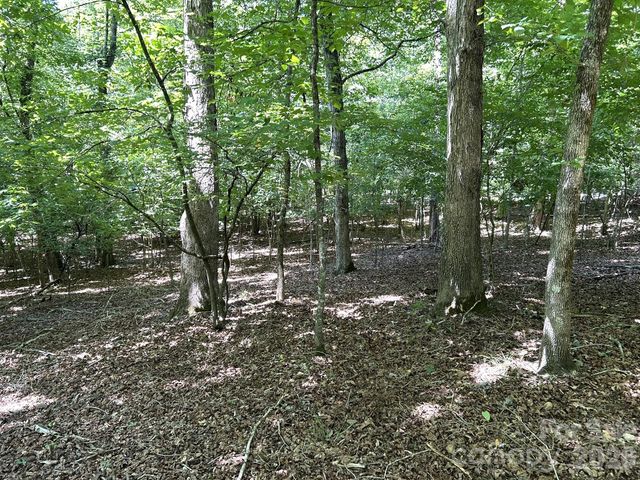 00 River Crest Parkway 26, Rutherfordton, NC 28139