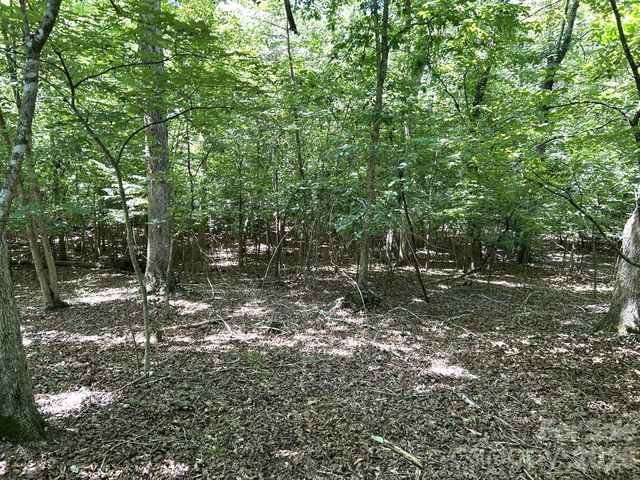 00 River Crest Parkway 26, Rutherfordton, NC 28139