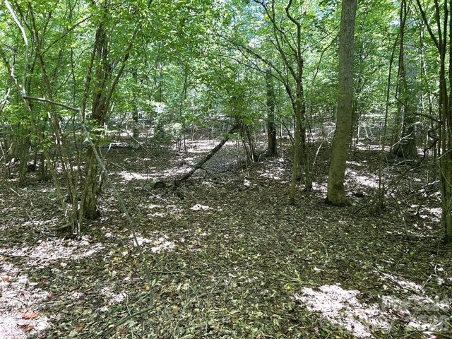 00 River Crest Parkway 26, Rutherfordton, NC 28139