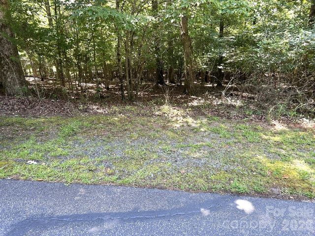 00 River Crest Parkway 26, Rutherfordton, NC 28139