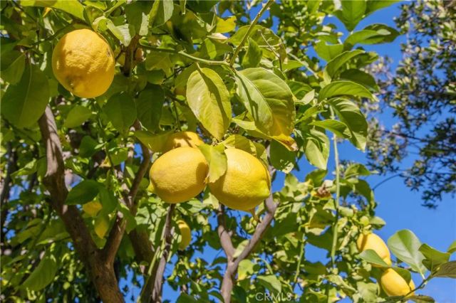 21665 Canyon Heights Circle, Saugus, CA 91390