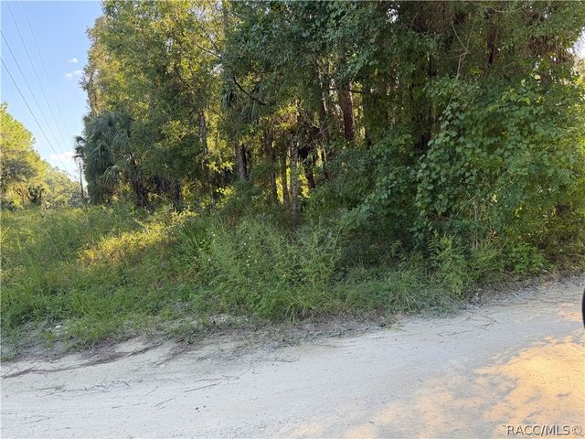 0 Corner of Debra and Shearer, Inglis, FL 34449