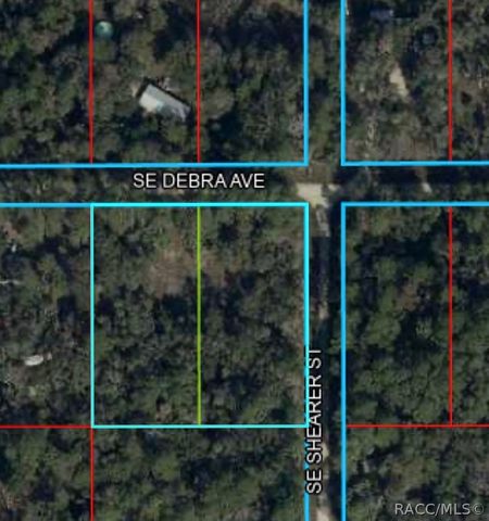 0 Corner of Debra and Shearer, Inglis, FL 34449