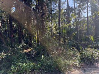 0 Corner of Debra and Shearer, Inglis, FL 34449