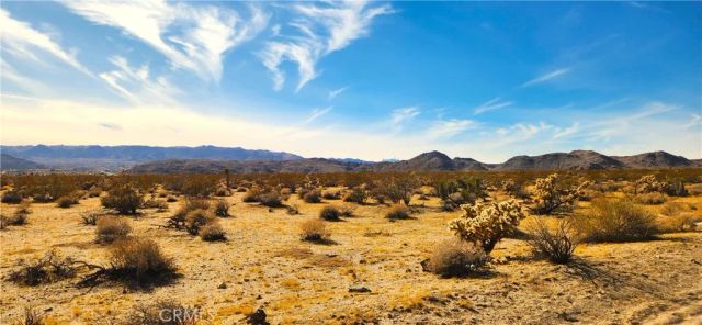 62259 Dixie, Joshua Tree, CA 92252