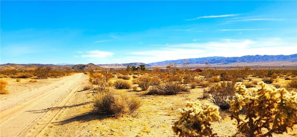 62259 Dixie, Joshua Tree, CA 92252