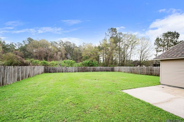 34122 Springlake Dr, Walker, LA 70785