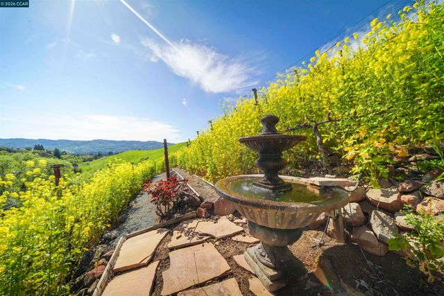 298 Barrington Ln, Alamo, CA 94507