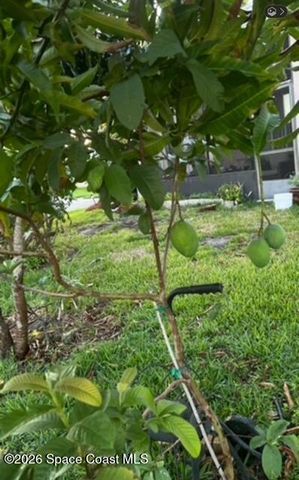 3403 Cloudberry Place, Melbourne, FL 32940