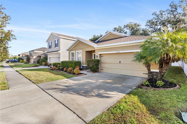 8602 TIDAL BREEZE DRIVE, Riverview, FL 33569