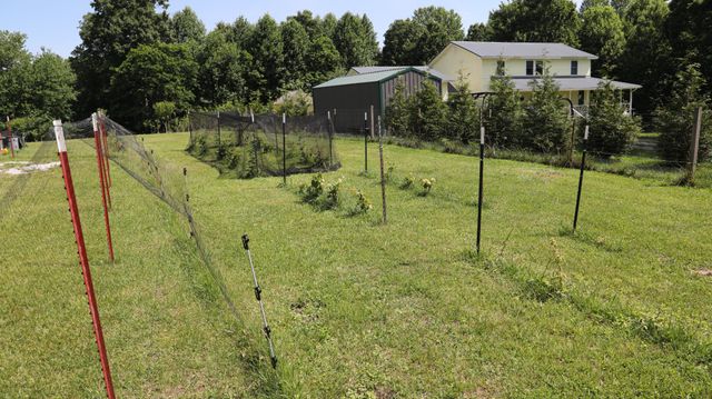 771 Long Mountain Rd, Mcminnville, TN 37110
