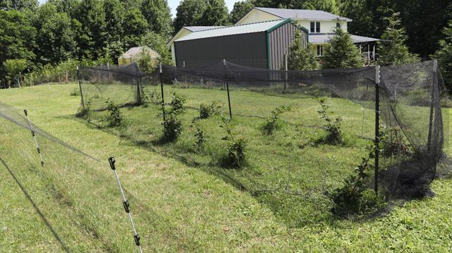 771 Long Mountain Rd, Mcminnville, TN 37110