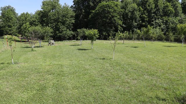 771 Long Mountain Rd, Mcminnville, TN 37110