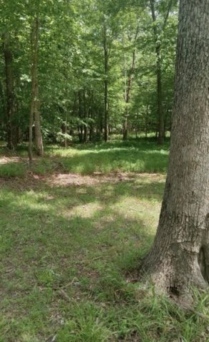 771 Long Mountain Rd, Mcminnville, TN 37110