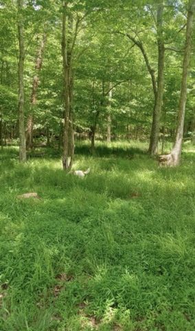 771 Long Mountain Rd, Mcminnville, TN 37110