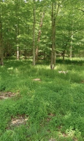 771 Long Mountain Rd, Mcminnville, TN 37110