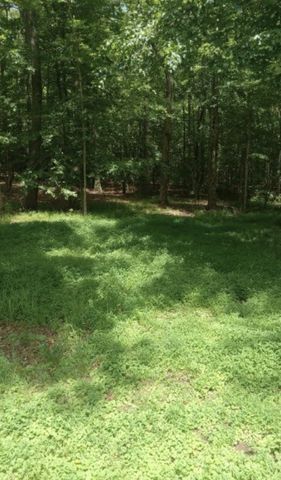 771 Long Mountain Rd, Mcminnville, TN 37110