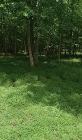 771 Long Mountain Rd, Mcminnville, TN 37110