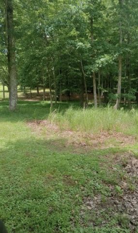 771 Long Mountain Rd, Mcminnville, TN 37110