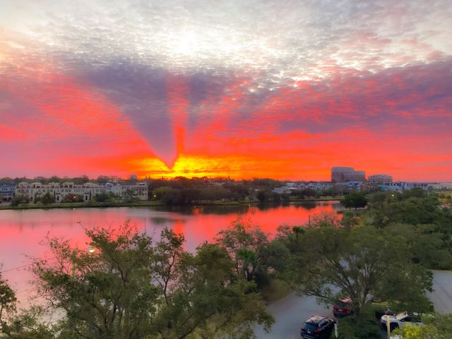 14 Lockwood Drive 3b, Charleston, SC 29401