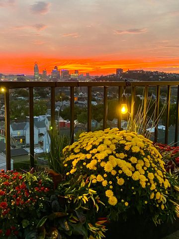 1017 O Fallon Avenue, Bellevue, KY 41073