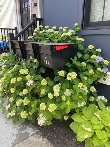 14 Carlton St B, Somerville, MA 02143