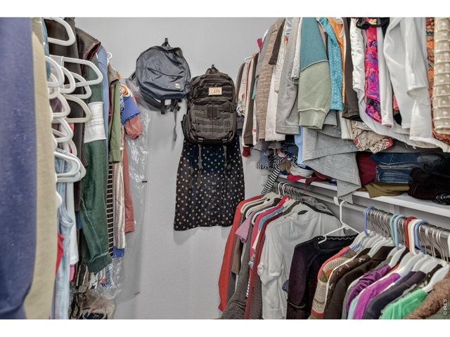 3387 Firewater Ln, Wellington, CO 80549