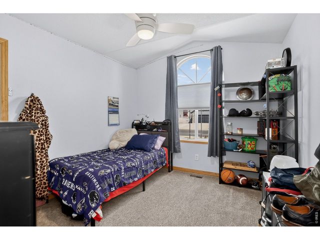 3387 Firewater Ln, Wellington, CO 80549