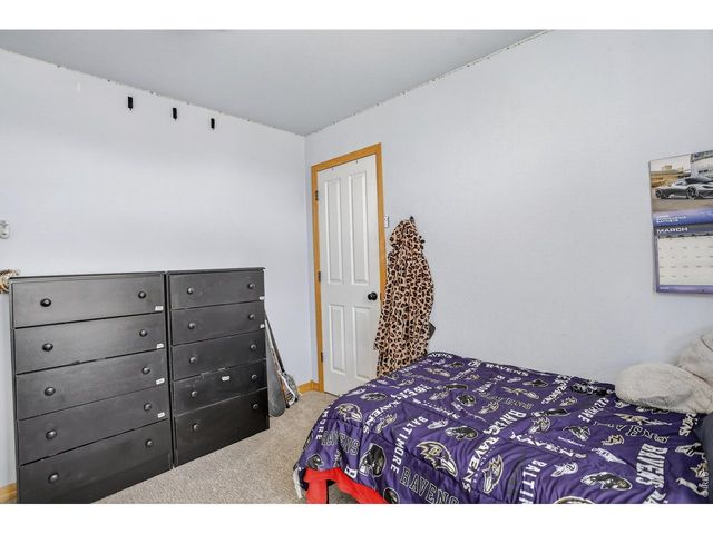 3387 Firewater Ln, Wellington, CO 80549