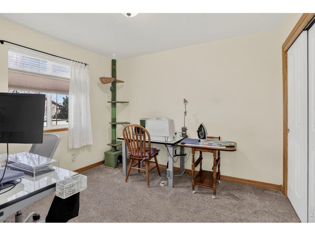 3387 Firewater Ln, Wellington, CO 80549