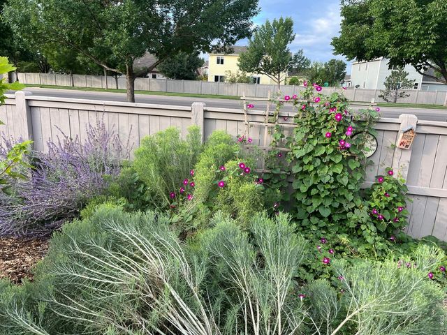 3387 Firewater Ln, Wellington, CO 80549