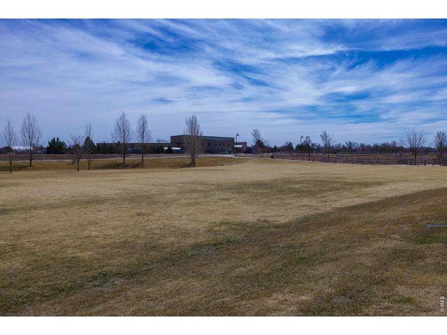 3387 Firewater Ln, Wellington, CO 80549